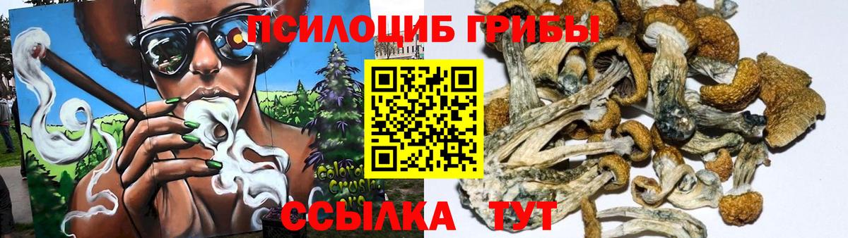 Будённовск  Псилоцибиновые грибы мицелий  Вход с VPN 
